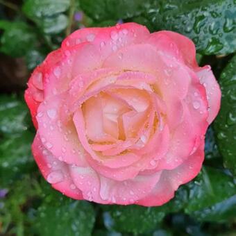 Apartamento Die Ferienwohnung "am Kietz"