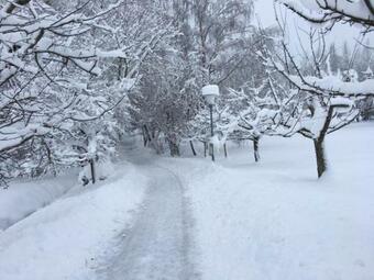 Apartamento Privates Ein-zimmer-ferienappartement Sabine Im Landhotel Seeg Bei F�ssen Im Allg�u