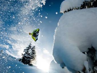 Apartment Hollaus Mittersill