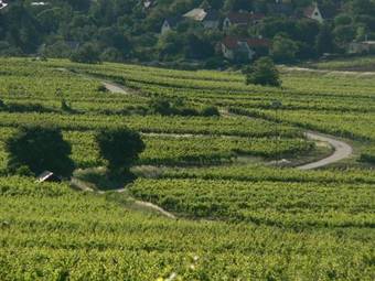 Hotel Perchtoldsdorf