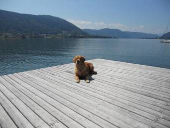 Apart Hotel Legend�r