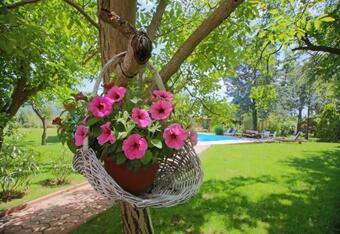 Hostal Aurora Holiday