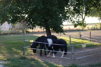 Apartamentos Eifel-apartments Orsfeld