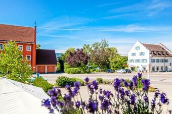 Apartment Gr�n I Rhein I Netflix I Schwarzwald