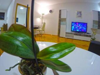 Apartmani Oleti? 4*
