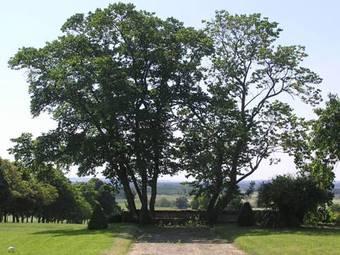 Bed & Breakfast Chambres D'h�tes Le Ch�teau De La Plante