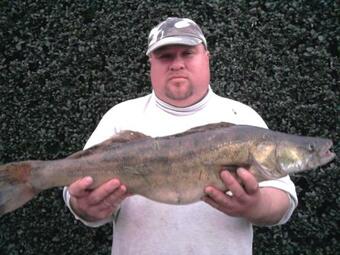 Tiszavir�g Apartman