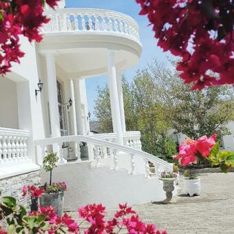 Bed & Breakfast Herberg Manor