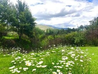 Apartamento Esigodini Cottage