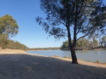 Riversands Rest Accommodation Paringa - River Box Cottage