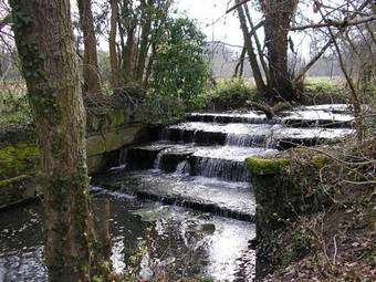 Bed & Breakfast Le Moulin De L'etang