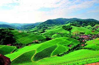 Hostal Hotel Linde Durbach