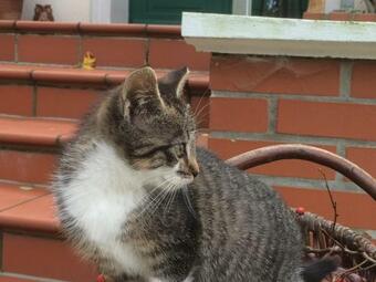 Apartamentos Gutshof Marienthal