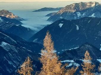 Apartment Monas Home