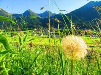 Apartamento Haus Romantika