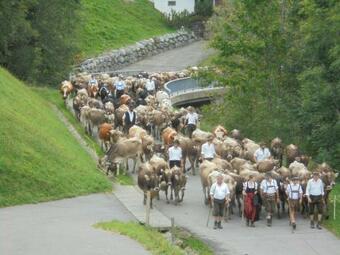 Apartamento Ferienhaus Nussbaumer