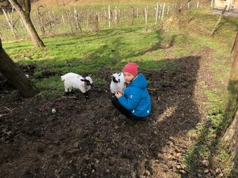 Agroturismo Bio-hof Windhaber