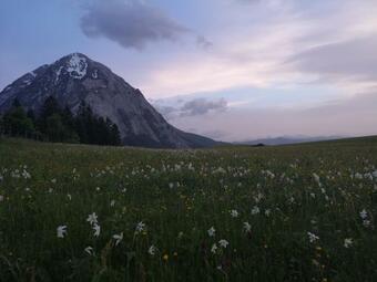 Apartamento Ferienwohnung P�reiterhof