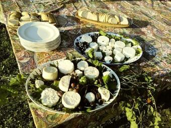 Oaza Le?cze - Dw�r Le?cze