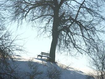Agroturismo Biohof Bernhard