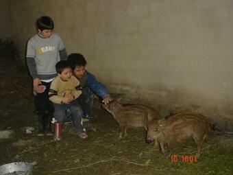 Agroturismo Aroggia Farm