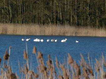 Gite Insolite "la Roulotte Des Elfes", Au Milieu De Nulle Part