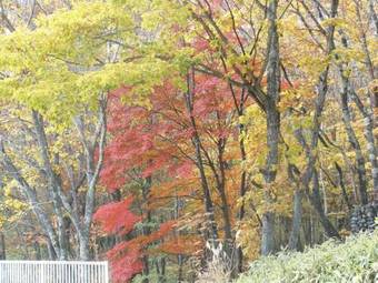 Posada Petit Hotel & Restaurant Old Age