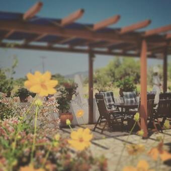 Hotel Voula Accommodation