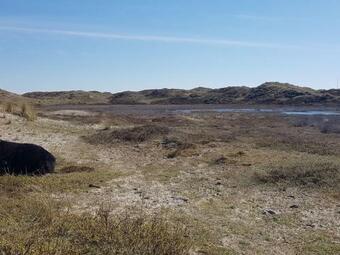 Cozy Holiday Home In Tuitjenhorn At De Duinen