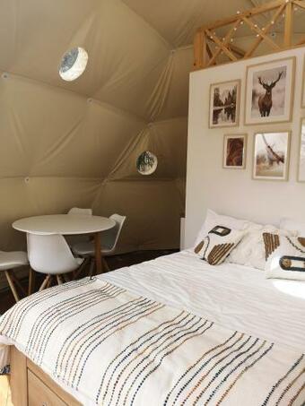 Medve Dome - Luxury Camping In The Middle Of Nature