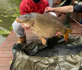 Sheraton On The Lake