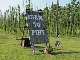 Cottage On The Beach Wineries North Fork The Hamptons