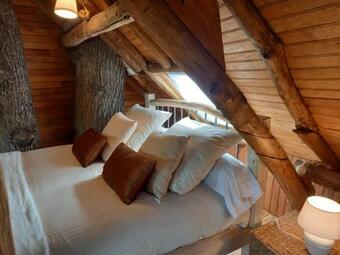 Cabane Suspendue Dans Les Arbres