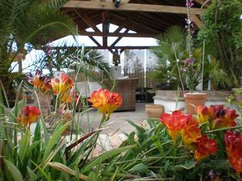 Bed & Breakfast Cortijo La Haza