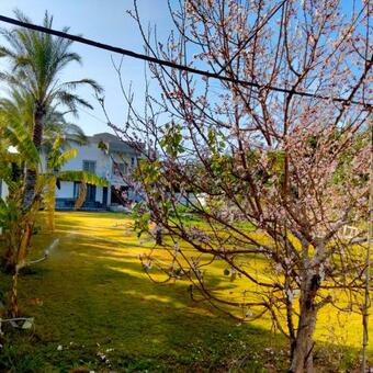 Villa Seif