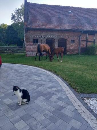 Apartamento Le?nicz�wka Grabczok