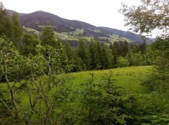 Direkt Am Waldrand, Ruhig Gelegenes Doppelzimmer