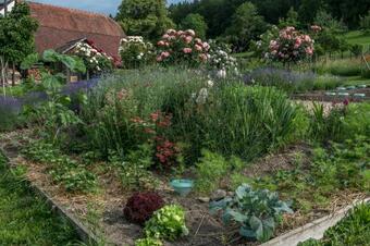 Bed & Breakfast Hagschnurer Sch��r