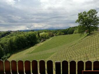 Agroturismo Weingut Assigal