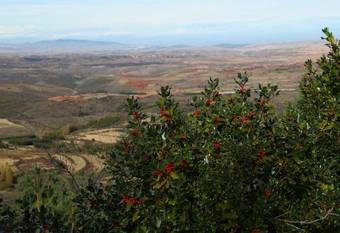 Apartamento Los Mesones