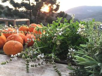 Hostal Chal� Da Montanha