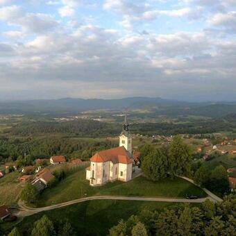 Apartamento Vineyard Cottage Ho?evar