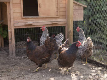 Bed & Breakfast Catherina Hoeve