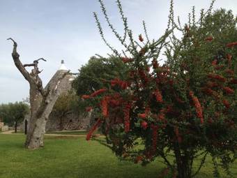 Hotel Il Palmento Resort