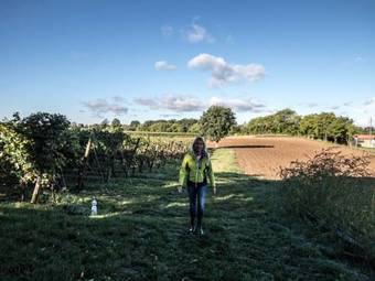 Agroturismo Agriturismo I Mischi