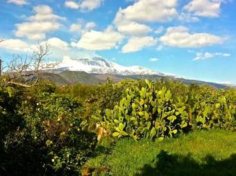 Apartamento Villa Bonaccorso