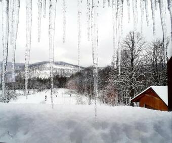 Osada Jelonki Wielka Puszcza