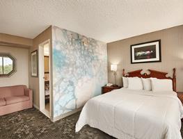 Hotel Days Inn At The Falls