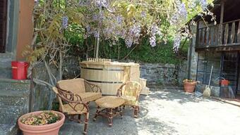 Il Glicine Rustico Garfagnino