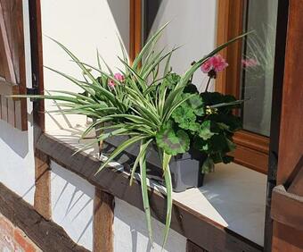 Agroturismo La Pinsonni�re